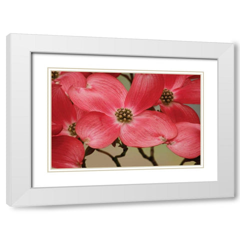 Dogwood Delicacy III White Modern Wood Framed Art Print with Double Matting by Geyman, Vitaly