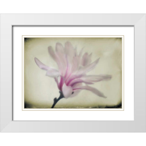 Floral Dreams I White Modern Wood Framed Art Print with Double Matting by Geyman, Vitaly