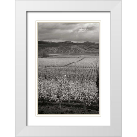 Pear Orchard I White Modern Wood Framed Art Print with Double Matting by Geyman, Vitaly