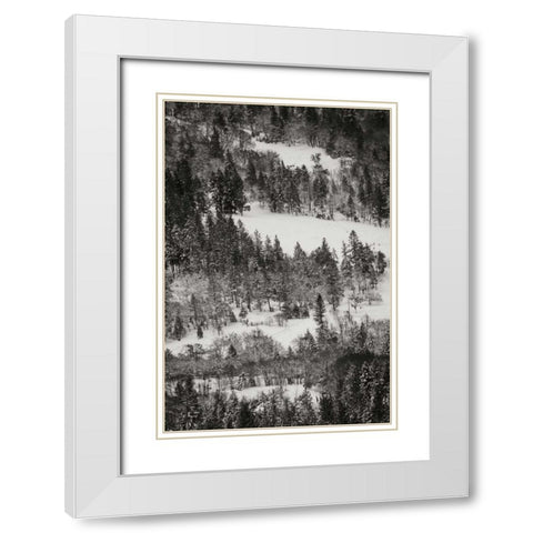Winter Mosaic I White Modern Wood Framed Art Print with Double Matting by Geyman, Vitaly