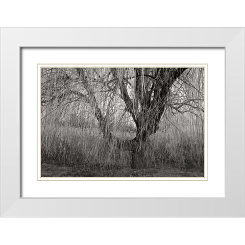 Winters Palace V BandW White Modern Wood Framed Art Print with Double Matting by Geyman, Vitaly