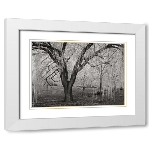 Winters Palace VI BandW White Modern Wood Framed Art Print with Double Matting by Geyman, Vitaly