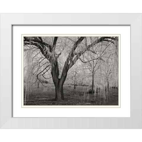 Winters Palace VI BandW White Modern Wood Framed Art Print with Double Matting by Geyman, Vitaly