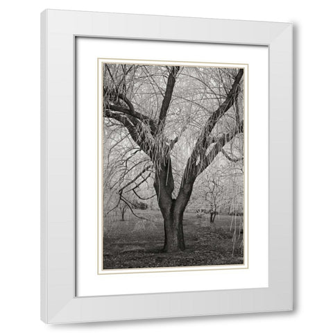 Winters Palace VII BandW White Modern Wood Framed Art Print with Double Matting by Geyman, Vitaly