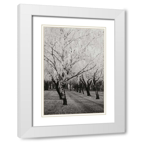 Winters Palace VIII BandW White Modern Wood Framed Art Print with Double Matting by Geyman, Vitaly