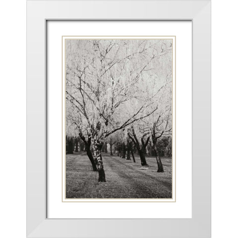Winters Palace VIII BandW White Modern Wood Framed Art Print with Double Matting by Geyman, Vitaly