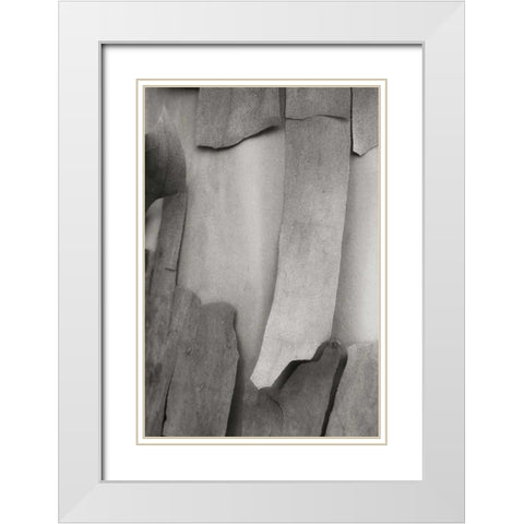 Madrone Mosaic I White Modern Wood Framed Art Print with Double Matting by Geyman, Vitaly