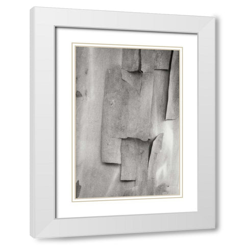 Madrone Mosaic II White Modern Wood Framed Art Print with Double Matting by Geyman, Vitaly