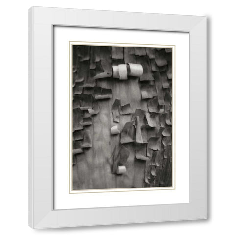 Menzanita Mosaic II White Modern Wood Framed Art Print with Double Matting by Geyman, Vitaly