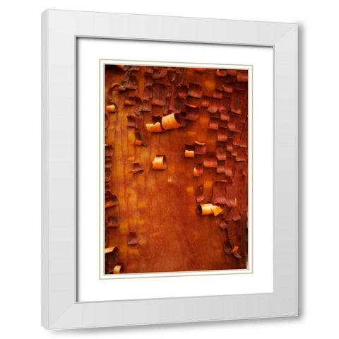 Menzanita Mosaic I White Modern Wood Framed Art Print with Double Matting by Geyman, Vitaly