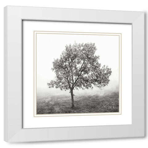 Burning Oak BW VI White Modern Wood Framed Art Print with Double Matting by Vitaly, Geyman