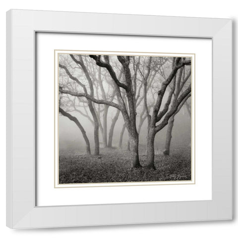 Misty Dance Sq White Modern Wood Framed Art Print with Double Matting by Vitaly, Geyman