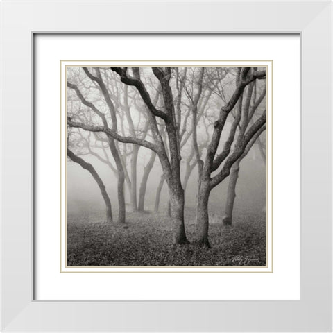 Misty Dance Sq White Modern Wood Framed Art Print with Double Matting by Vitaly, Geyman