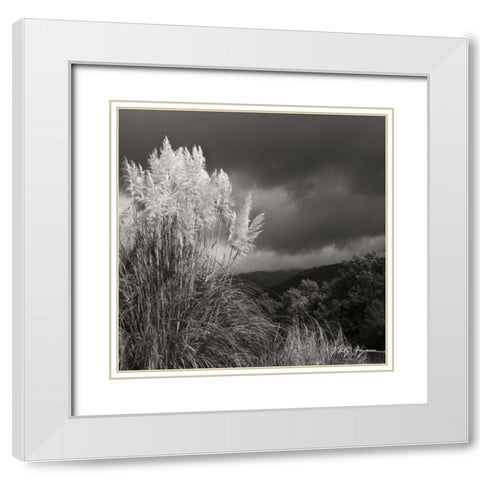 White Towers III BW White Modern Wood Framed Art Print with Double Matting by Vitaly, Geyman