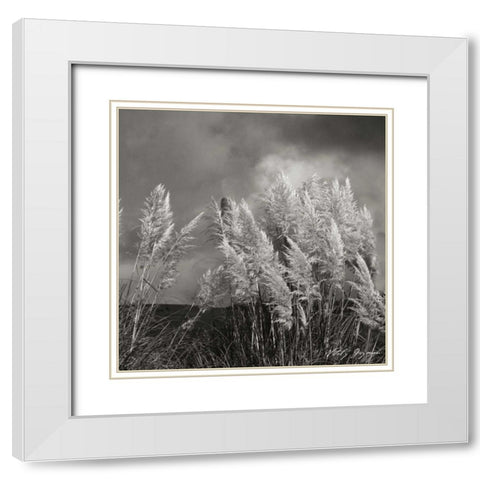 White Towers IV BW White Modern Wood Framed Art Print with Double Matting by Vitaly, Geyman