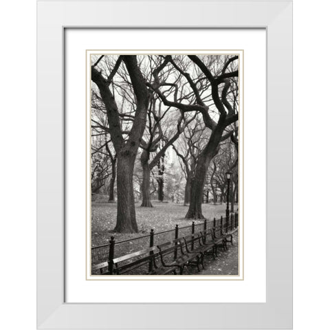 Central Park Dancers I White Modern Wood Framed Art Print with Double Matting by Vitaly, Geyman