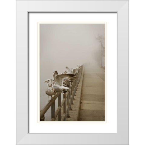 Seagul Paradise II White Modern Wood Framed Art Print with Double Matting by Vitaly, Geyman