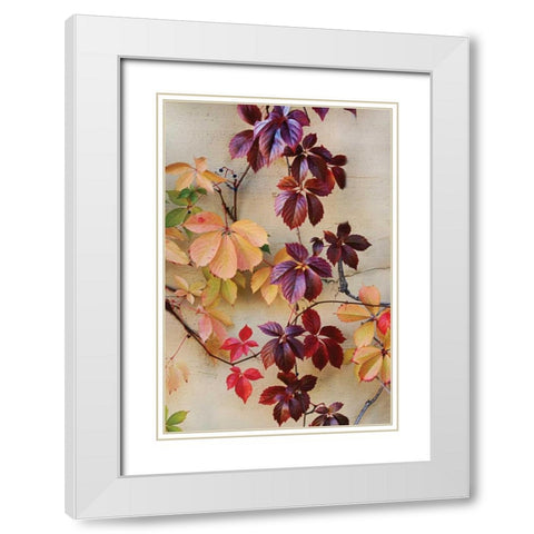 Vine Leaf Romance I White Modern Wood Framed Art Print with Double Matting by Vitaly, Geyman