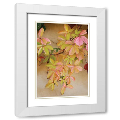 Vine Leaf Romance II White Modern Wood Framed Art Print with Double Matting by Vitaly, Geyman