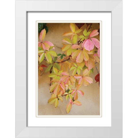 Vine Leaf Romance II White Modern Wood Framed Art Print with Double Matting by Vitaly, Geyman