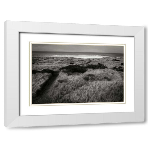 Coastal Spirit II White Modern Wood Framed Art Print with Double Matting by Geyman, Vitaly