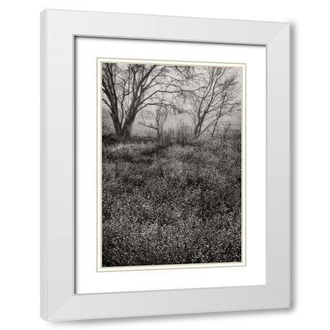 Country Serenity I White Modern Wood Framed Art Print with Double Matting by Geyman, Vitaly