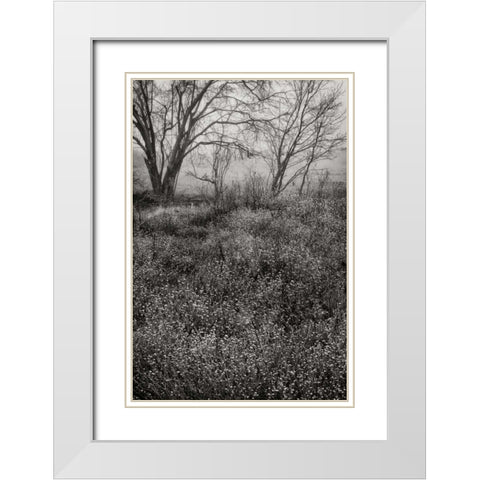 Country Serenity I White Modern Wood Framed Art Print with Double Matting by Geyman, Vitaly