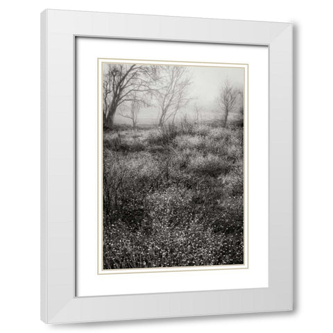 Country Serenity II White Modern Wood Framed Art Print with Double Matting by Geyman, Vitaly