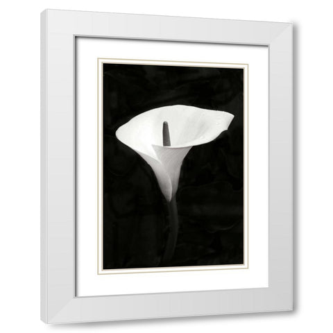 Calla Lily Perfection III White Modern Wood Framed Art Print with Double Matting by Geyman, Vitaly