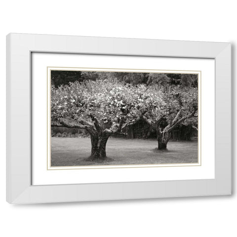 Orchard Serenity I White Modern Wood Framed Art Print with Double Matting by Geyman, Vitaly