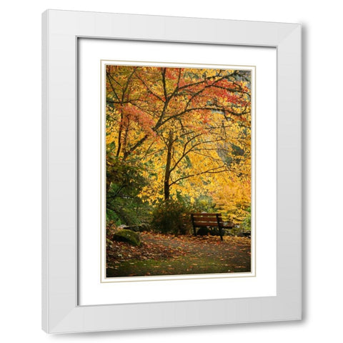 Fall Abundance I White Modern Wood Framed Art Print with Double Matting by Geyman, Vitaly