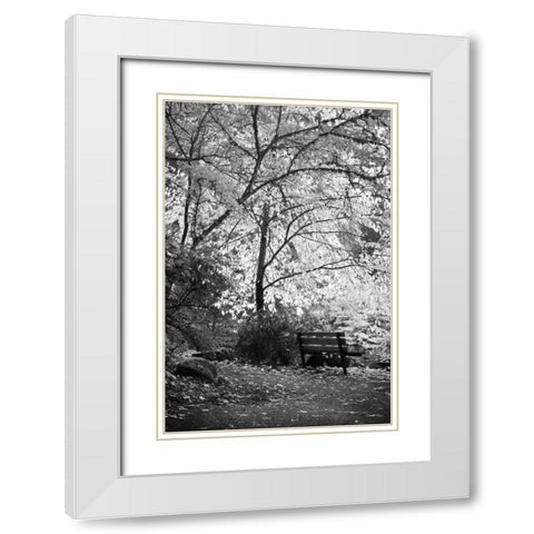Fall Abundance I B and W White Modern Wood Framed Art Print with Double Matting by Geyman, Vitaly