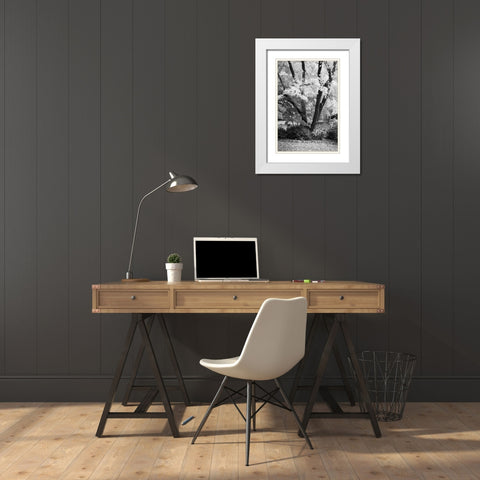 Fall Abundance II B and W White Modern Wood Framed Art Print with Double Matting by Geyman, Vitaly