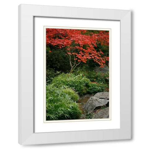Fall Abundance III White Modern Wood Framed Art Print with Double Matting by Geyman, Vitaly
