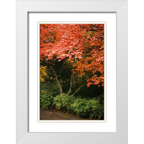 Fall Abundance IV White Modern Wood Framed Art Print with Double Matting by Geyman, Vitaly