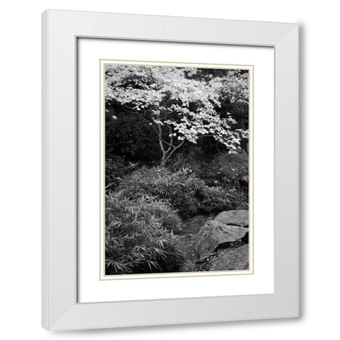 Fall Abundance III B and W White Modern Wood Framed Art Print with Double Matting by Geyman, Vitaly