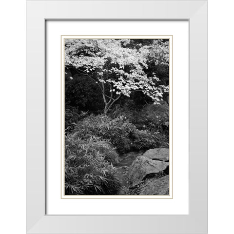 Fall Abundance III B and W White Modern Wood Framed Art Print with Double Matting by Geyman, Vitaly
