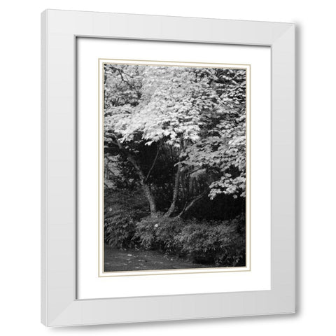 Fall Abundance IV B and W White Modern Wood Framed Art Print with Double Matting by Geyman, Vitaly