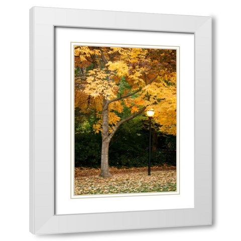 Fall Abundance X White Modern Wood Framed Art Print with Double Matting by Geyman, Vitaly