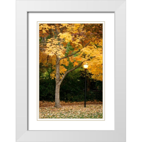 Fall Abundance X White Modern Wood Framed Art Print with Double Matting by Geyman, Vitaly