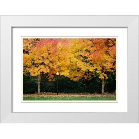 Fall Abundance V White Modern Wood Framed Art Print with Double Matting by Geyman, Vitaly