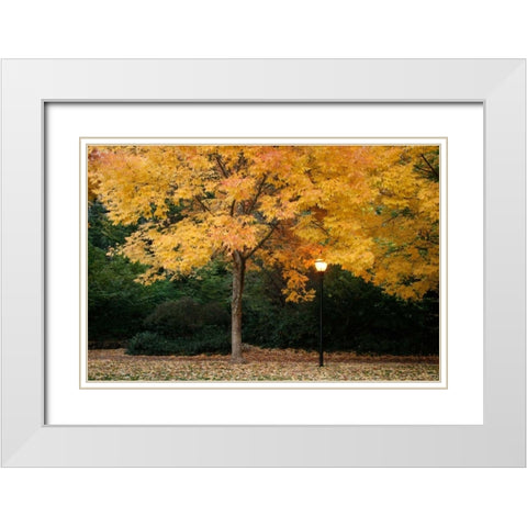 Fall Abundance VI White Modern Wood Framed Art Print with Double Matting by Geyman, Vitaly