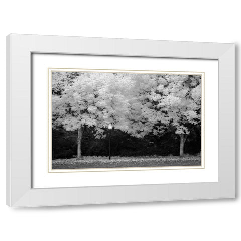 Fall Abundance V B and W White Modern Wood Framed Art Print with Double Matting by Geyman, Vitaly
