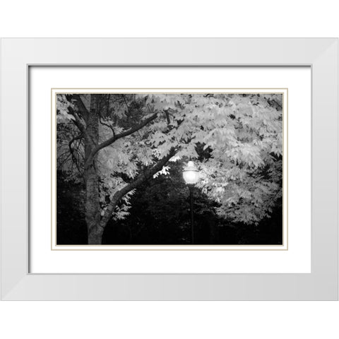Fall Abundance VII B and W White Modern Wood Framed Art Print with Double Matting by Geyman, Vitaly