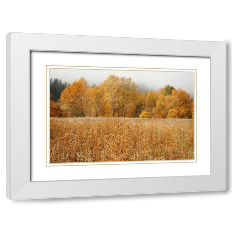 Field of Gold I White Modern Wood Framed Art Print with Double Matting by Geyman, Vitaly