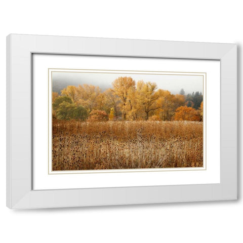 Field of Gold II White Modern Wood Framed Art Print with Double Matting by Geyman, Vitaly