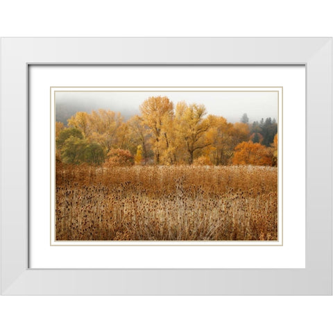 Field of Gold II White Modern Wood Framed Art Print with Double Matting by Geyman, Vitaly