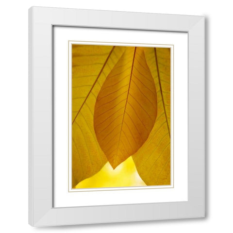 Golden Leafs I White Modern Wood Framed Art Print with Double Matting by Geyman, Vitaly