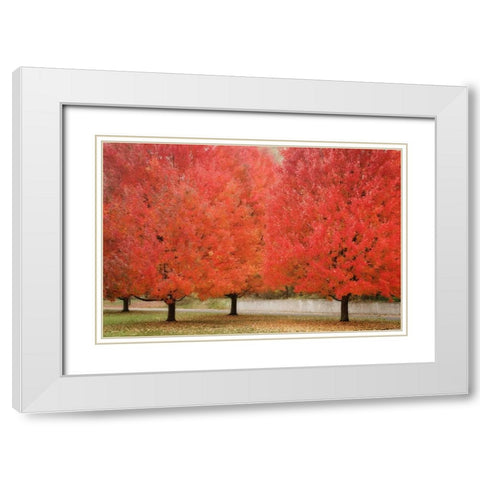 Fall Beauty II White Modern Wood Framed Art Print with Double Matting by Geyman, Vitaly