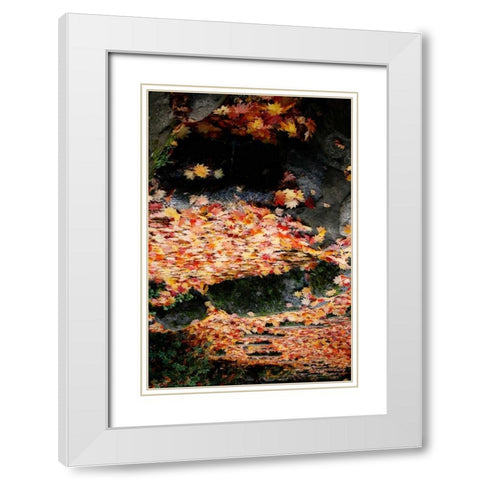 Fall Mandala I White Modern Wood Framed Art Print with Double Matting by Geyman, Vitaly